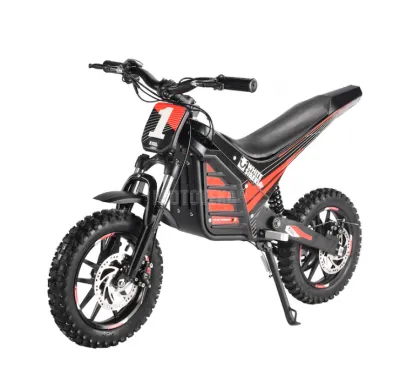 Электромотоцикл White Siberia (Белая Сибирь) MUXA 1300W